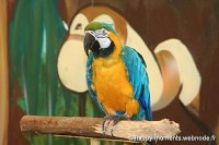 /album/animaux/photo-069-jpg/
